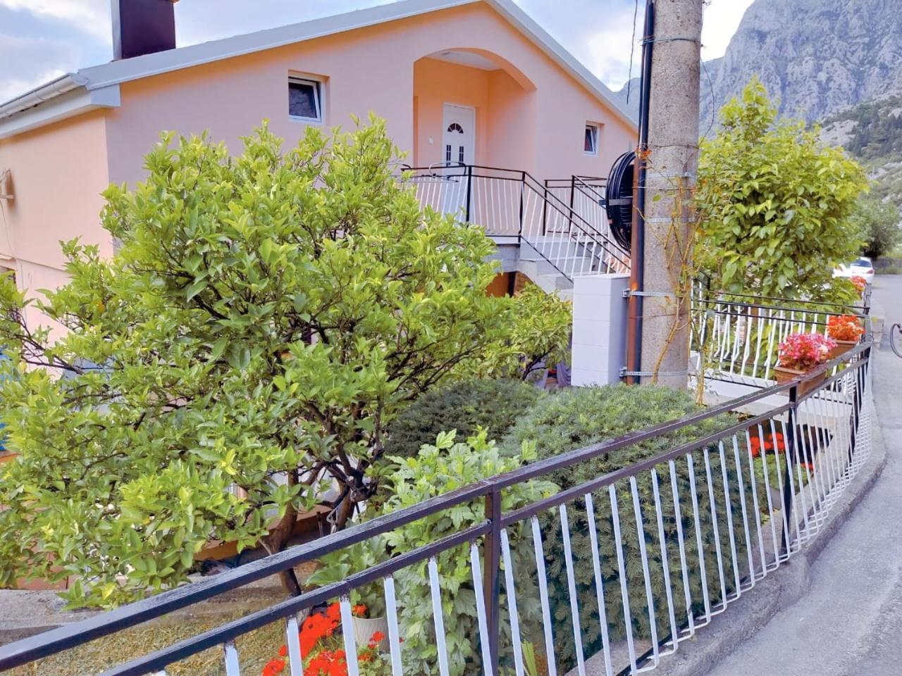 Apartment Dora Kotor Extérieur photo